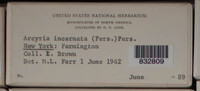 Image Associated With the Occurence